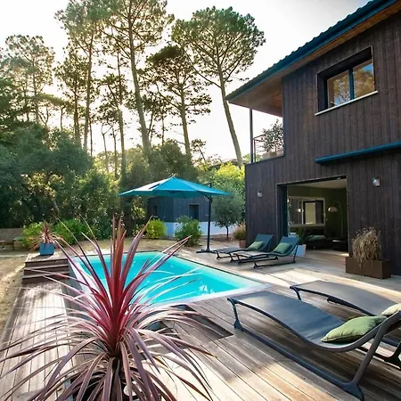 La Canopee Du Villa *